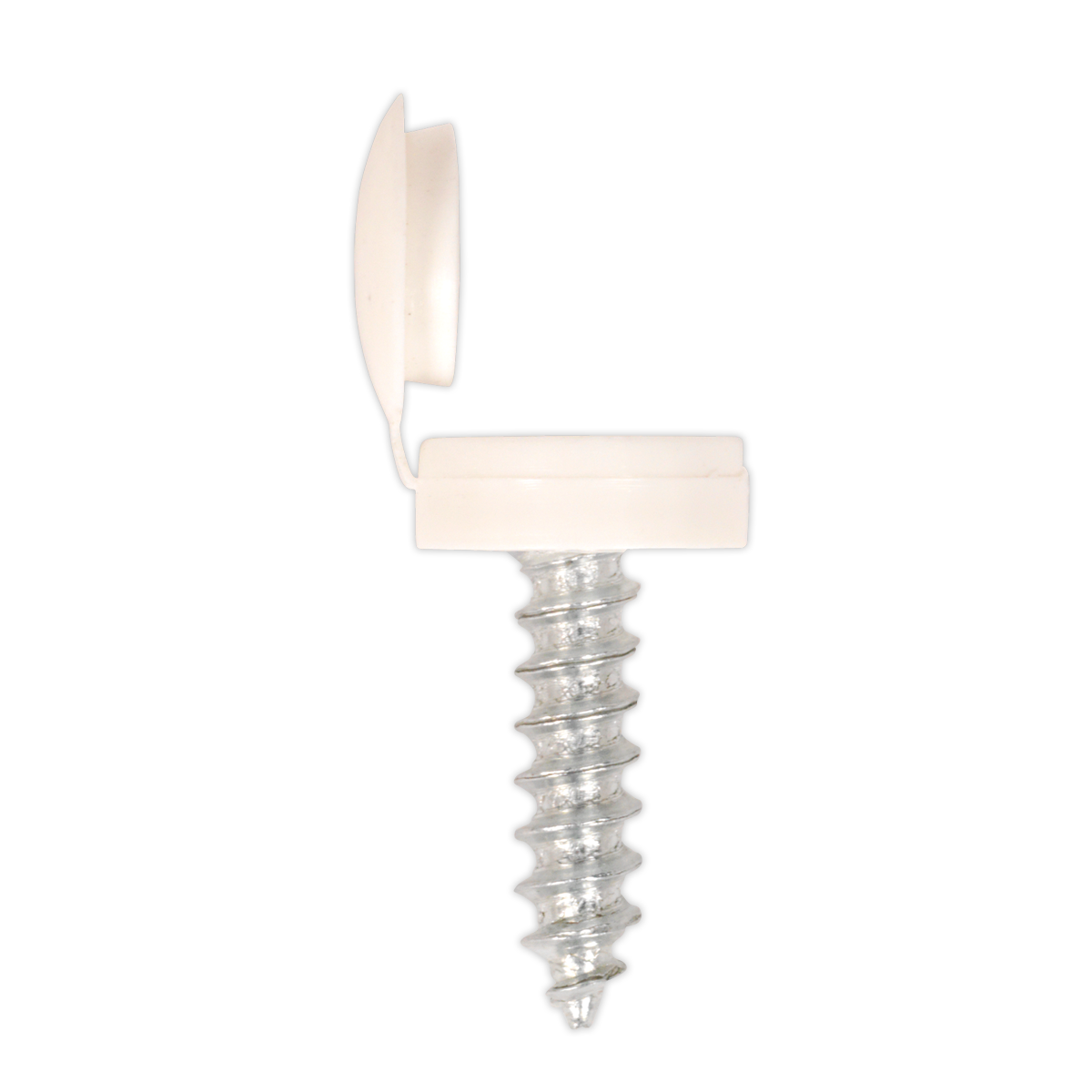 Clip Strip Deal - Mixed Numberplate Screws NPSSET