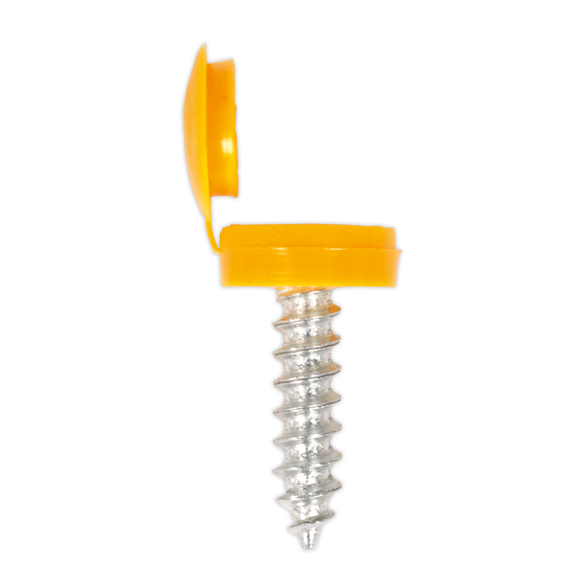 Clip Strip Deal - Mixed Numberplate Screws NPSSET