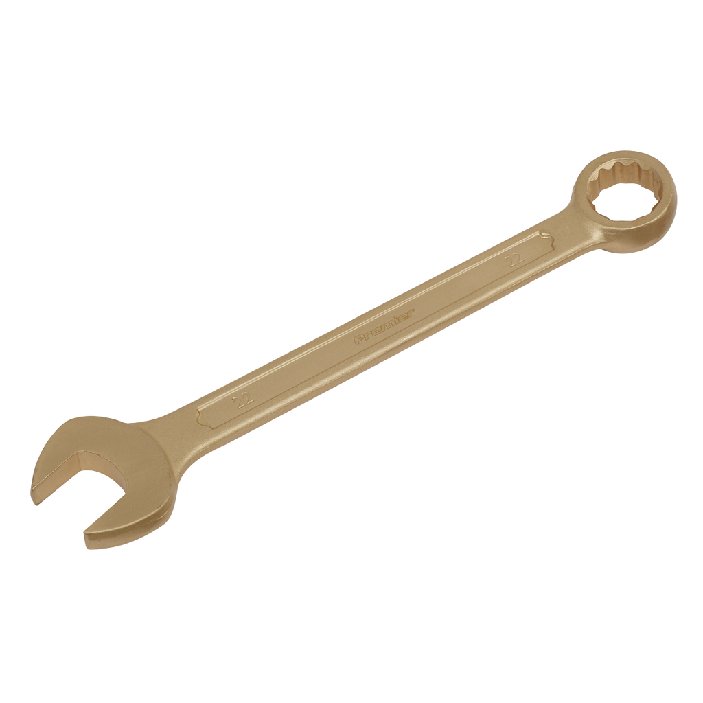 Non-Sparking Combination Spanner 22mm NS010