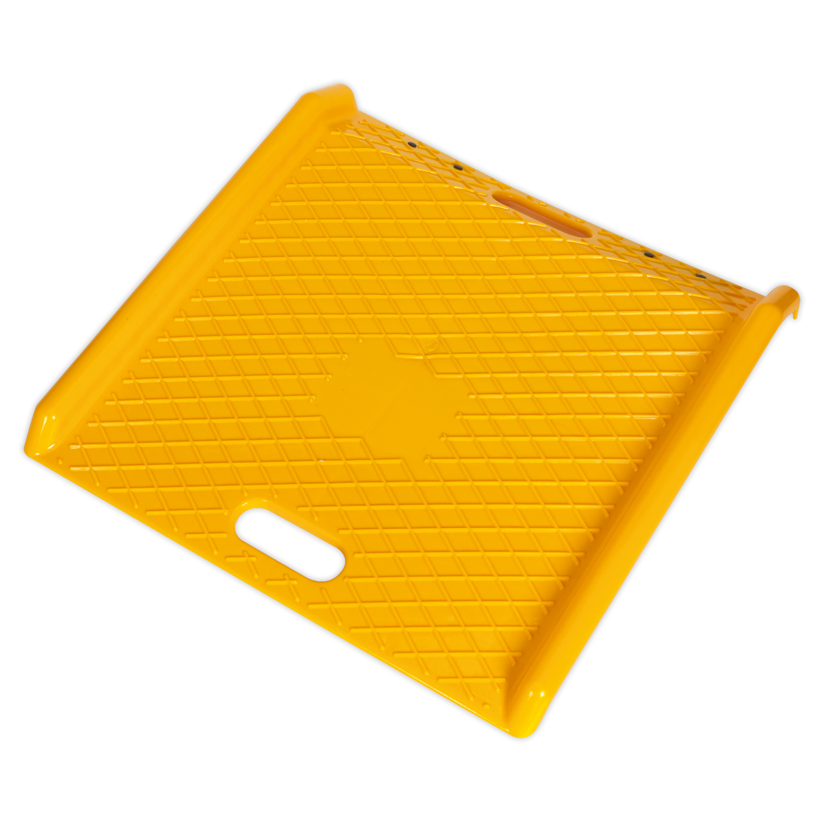 Portable Access Ramp 450kg Capacity PAR01