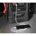 12V Emergency Jump Starter 2300 Peak Amps PBI2212GS