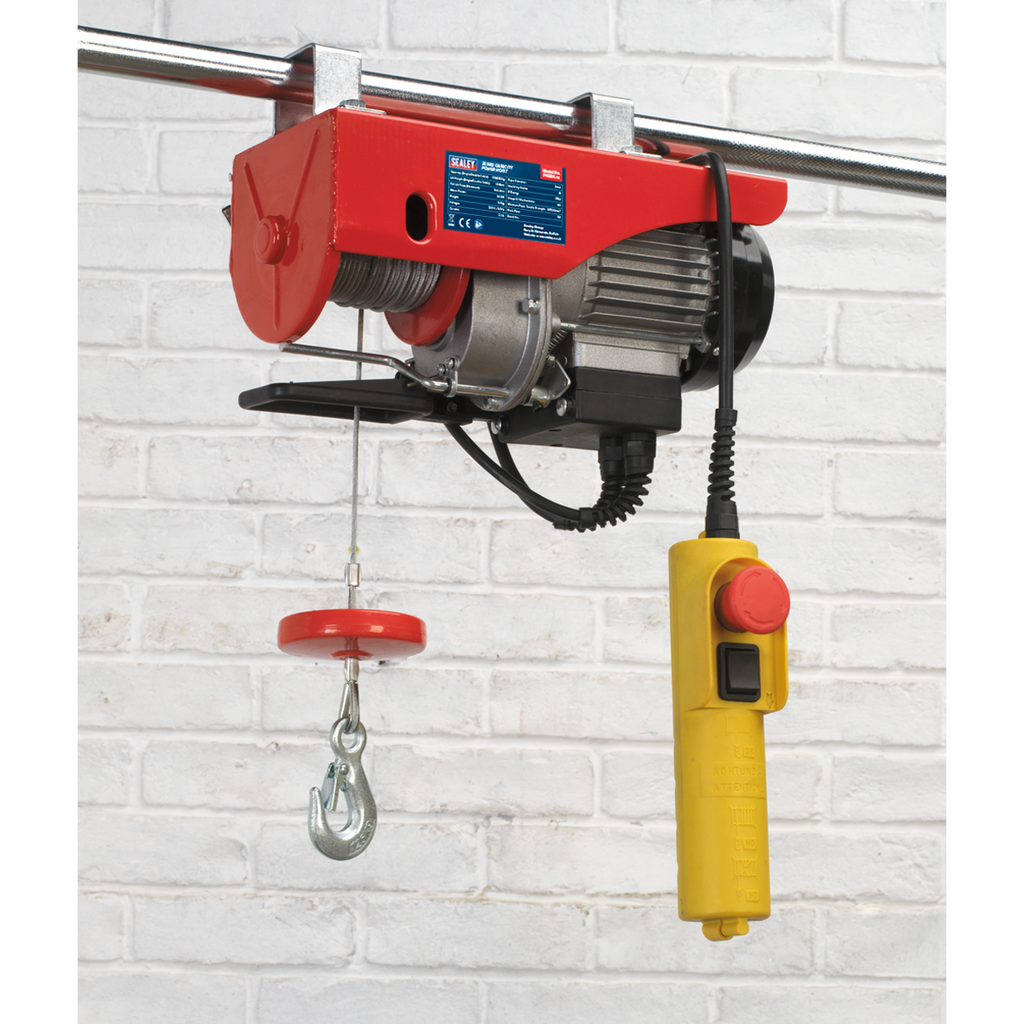 Power Hoist 250kg Capacity 230V PH250