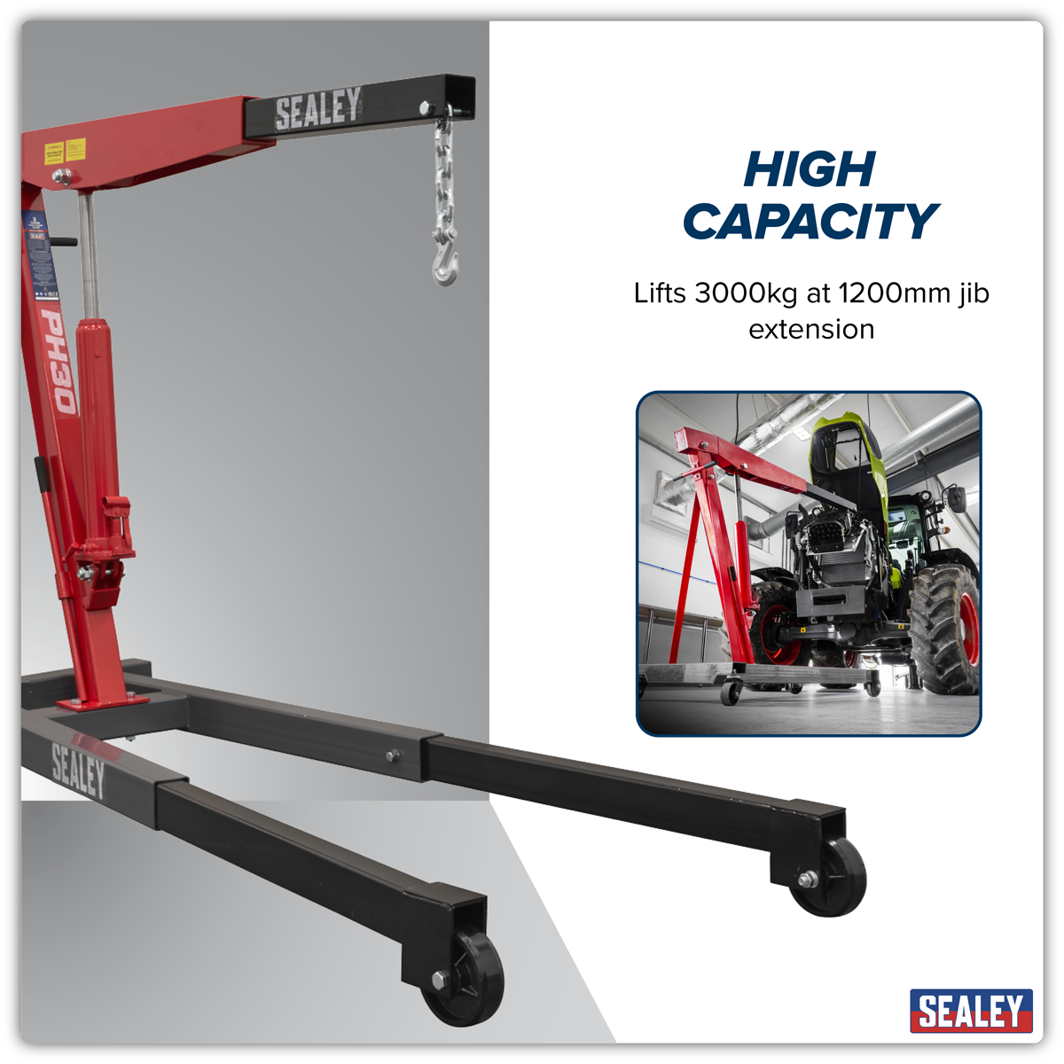 Fixed Frame Engine Crane with Extendable Legs 3 Tonne PH30