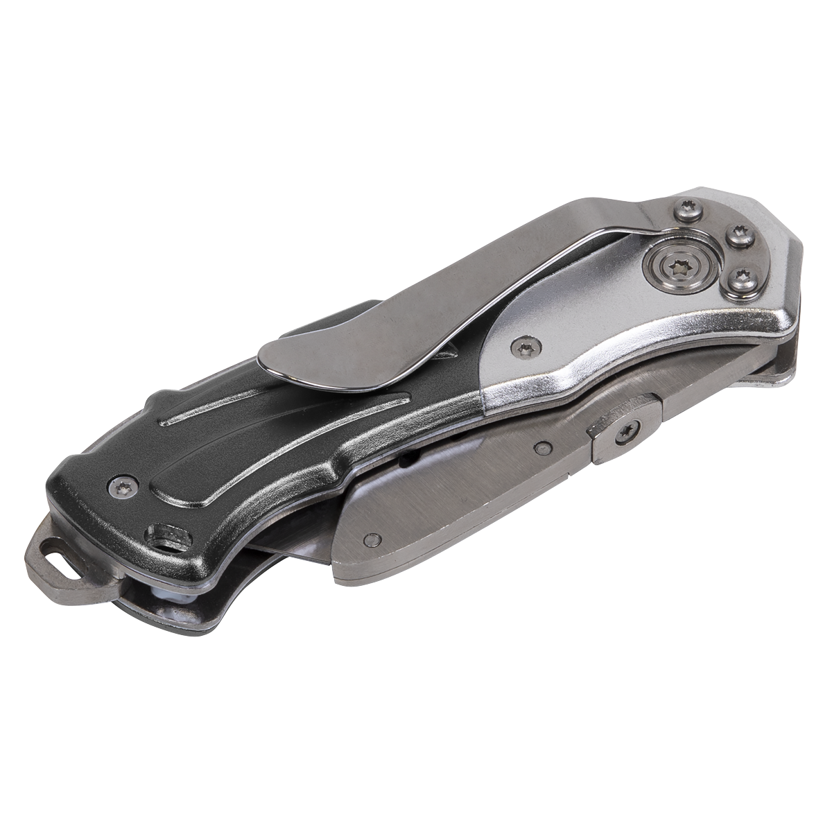 Locking Pocket Knife with Quick Change Blade PK38