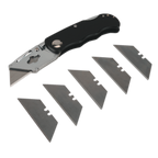 Locking Pocket Knife with Quick Change Blade PK5