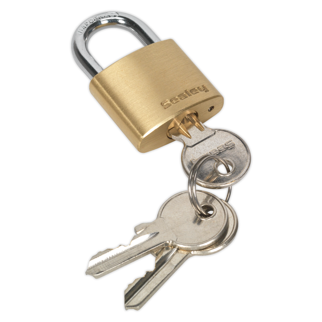 Brass Body Padlock 30mm PL100