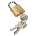 Brass Body Padlock 30mm PL100