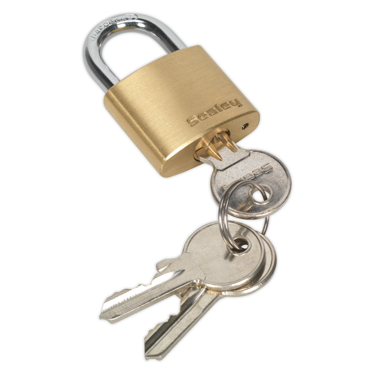 Brass Body Padlock 30mm PL100