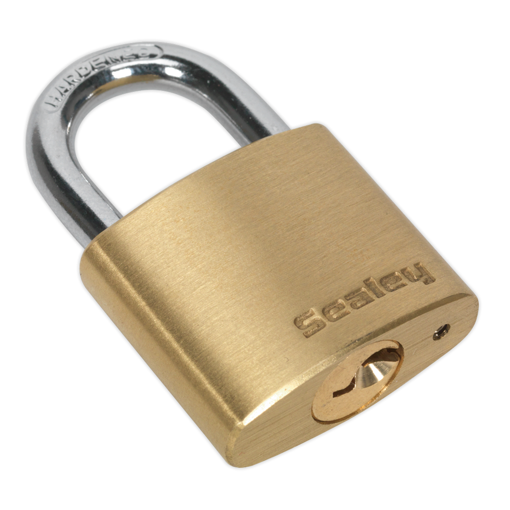 Brass Body Padlock 30mm PL100