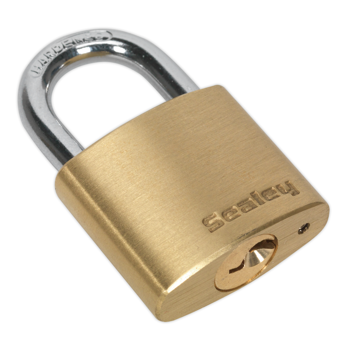 Brass Body Padlock 30mm PL100