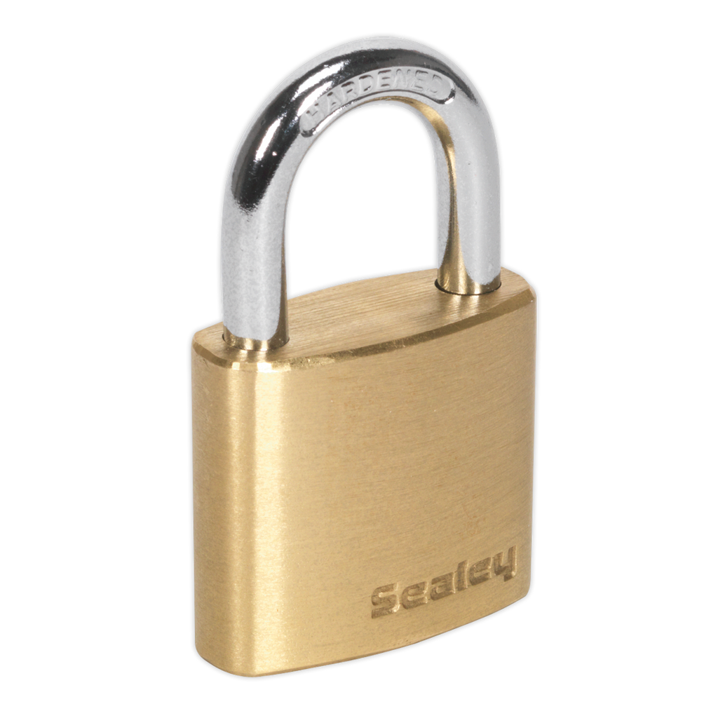Brass Body Padlock 30mm PL100
