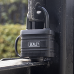 54mm Steel Body Weatherproof Padlock PL302W
