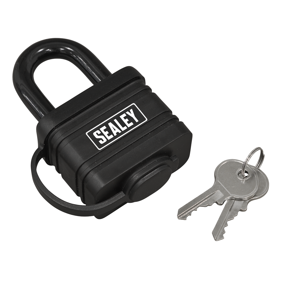 54mm Steel Body Weatherproof Padlock PL302W