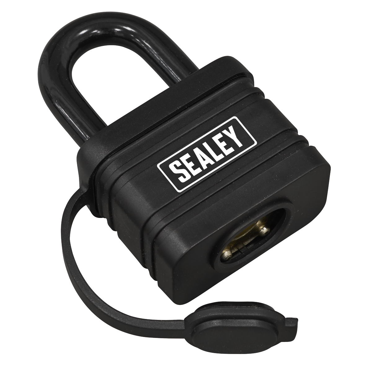 54mm Steel Body Weatherproof Padlock PL302W