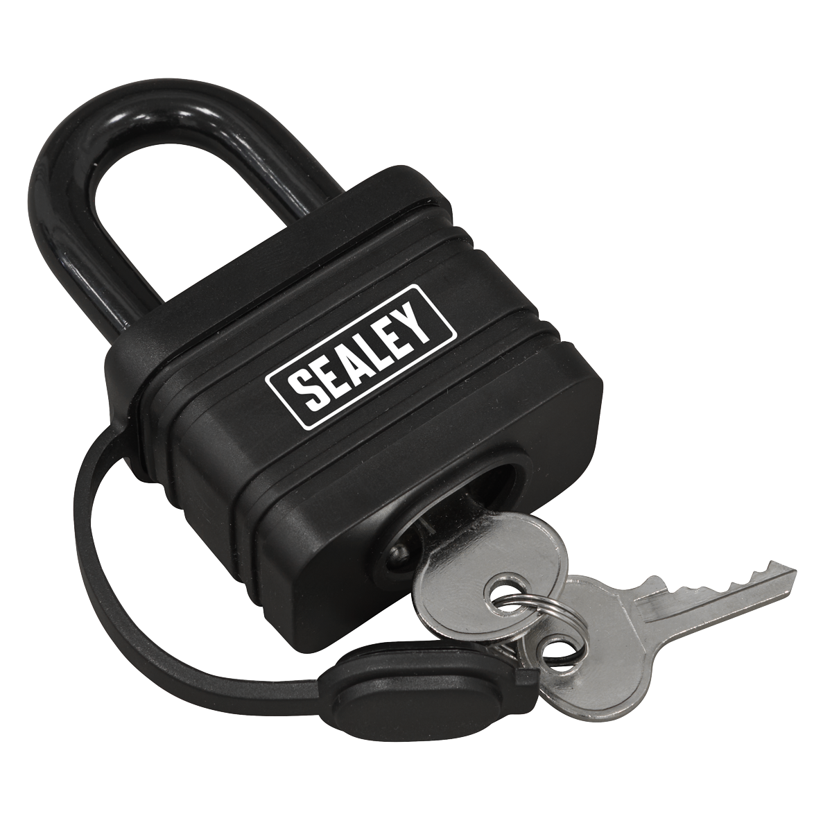54mm Steel Body Weatherproof Padlock PL302W