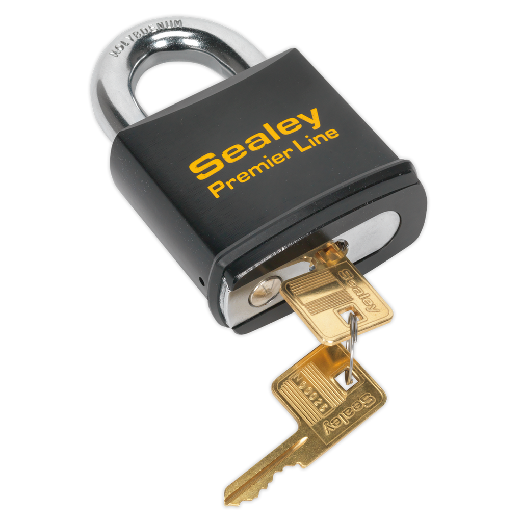 Steel Body Padlock 70mm PL504