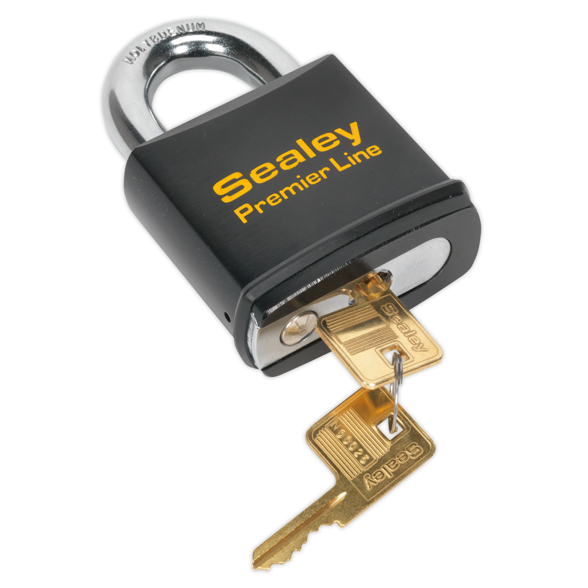 Steel Body Padlock 70mm PL504