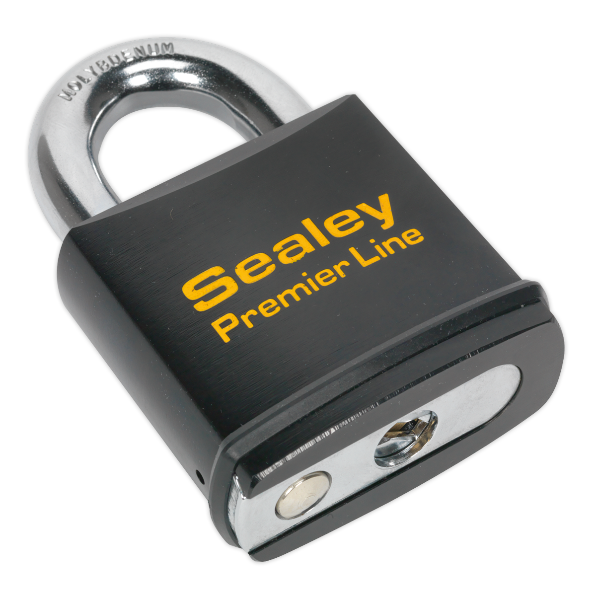 Steel Body Padlock 70mm PL504