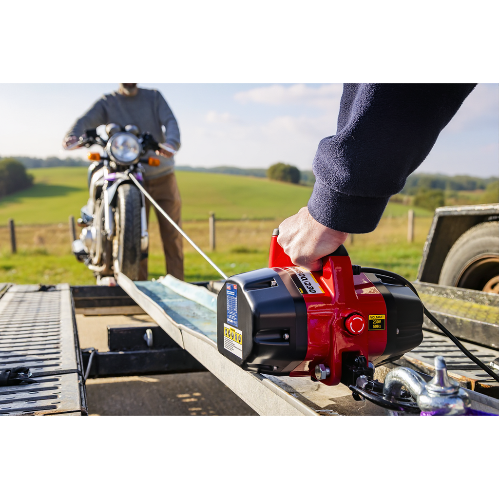 Portable Handheld Winch 500kg Pulling Force 230V PPH500/230