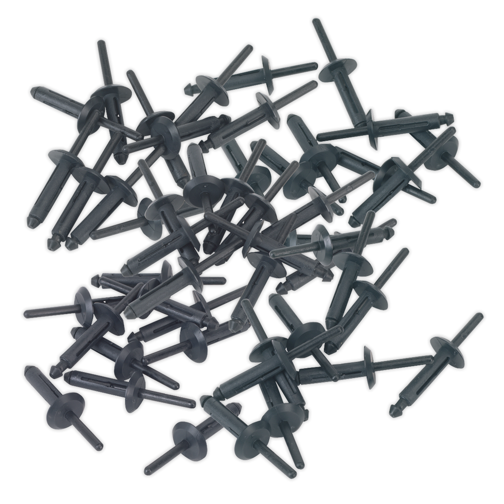 Plastic Rivet 6.3 x 25.2mm - Pack of 50 PR002