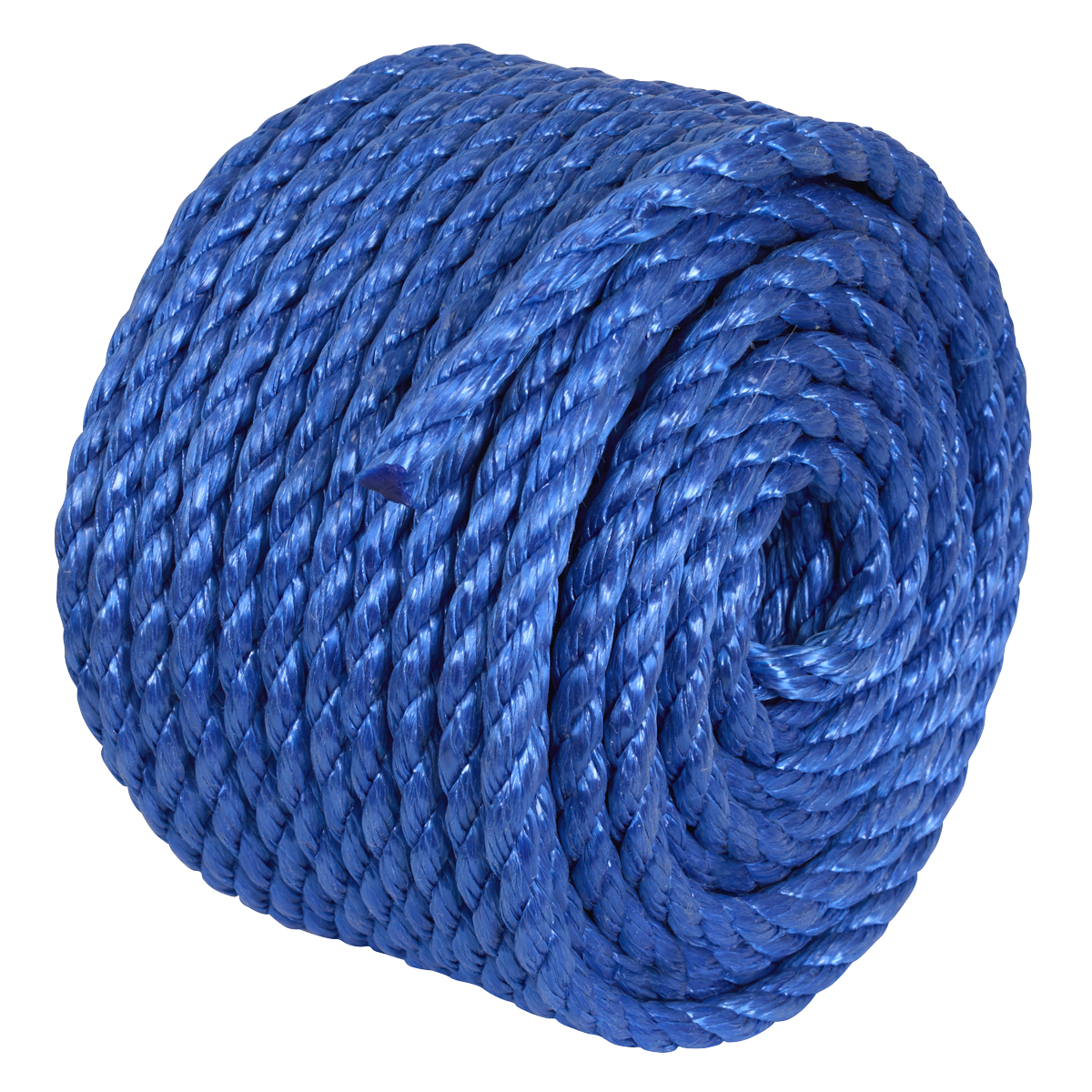 Polypropylene Split Film Twisted Rope 10mm x 30m, Blue PR1030