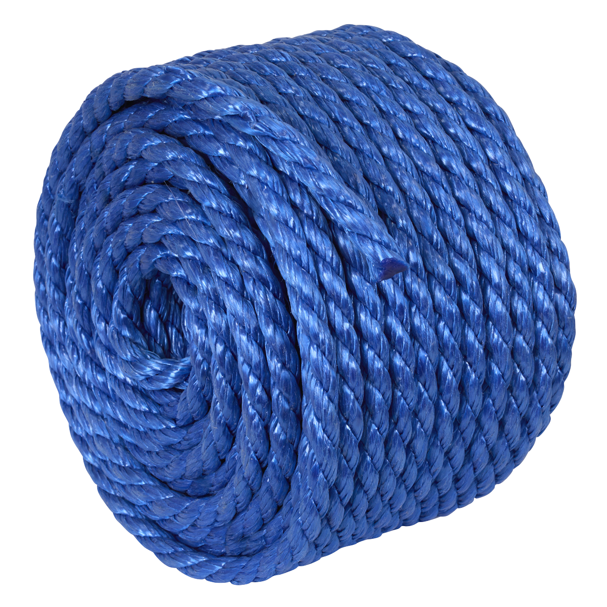 Polypropylene Split Film Twisted Rope 10mm x 30m, Blue PR1030