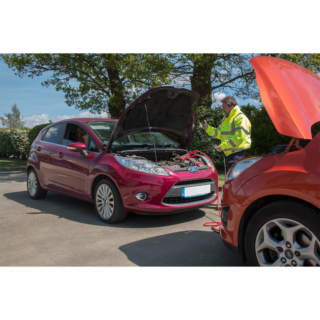 Booster Cables 25mm² x 7m 450A with 12/24V Electronics Protection PROJ/12/24