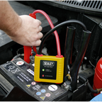 12V Auto Electronics Protection Device PROSAF/12