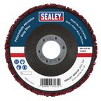 115 x 13mm Polycarbide Abrasive Strip Disc 22mm Bore - Red PTC/CW115R