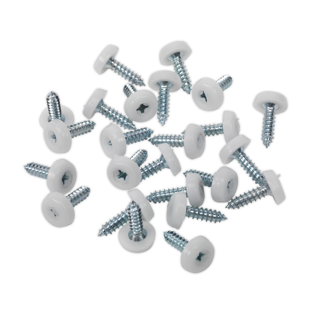 Numberplate Screw with Plastic Enclosed Head 4.8 x 18mm, White - Pack of 50 PTNP1