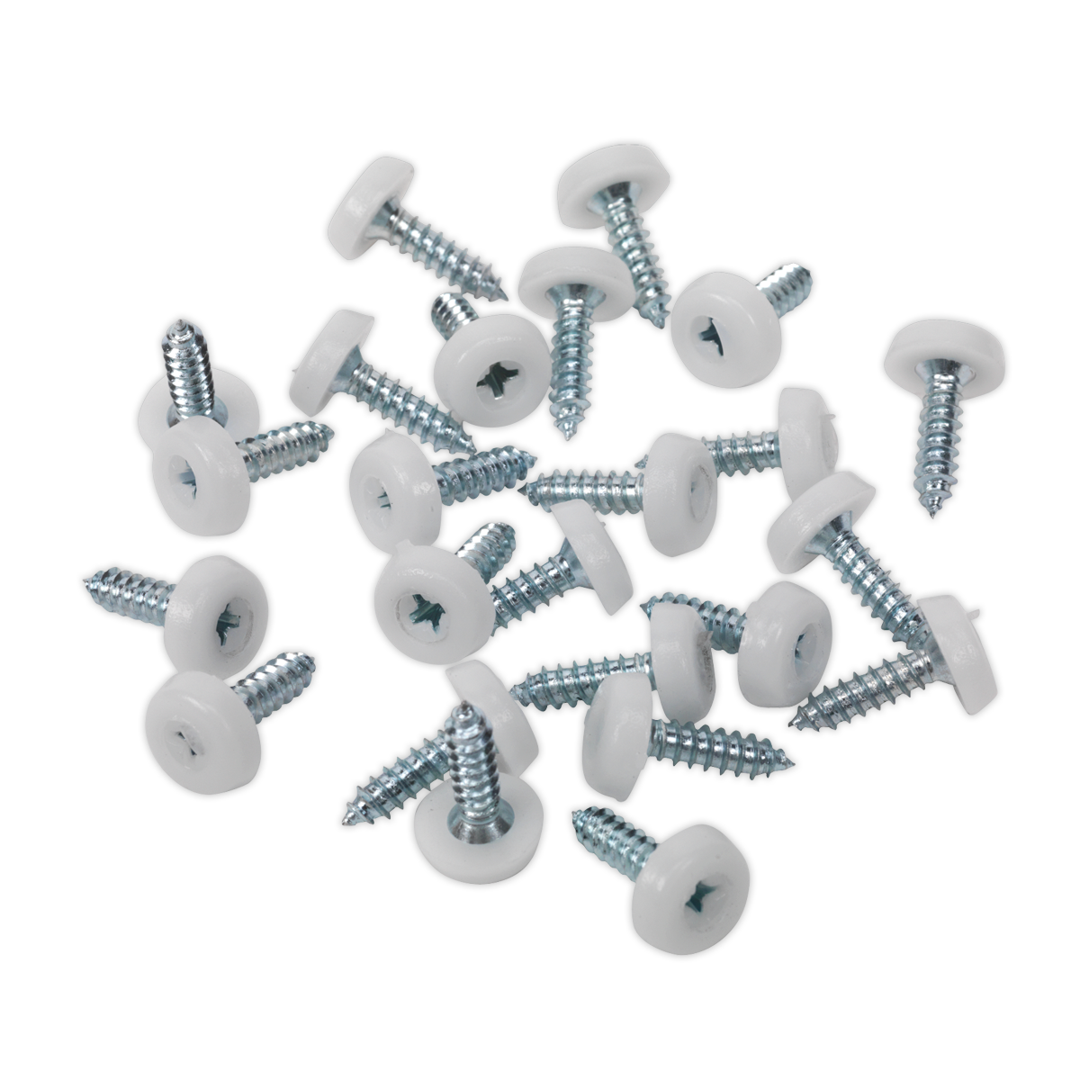 Numberplate Screw with Plastic Enclosed Head 4.8 x 18mm, White - Pack of 50 PTNP1