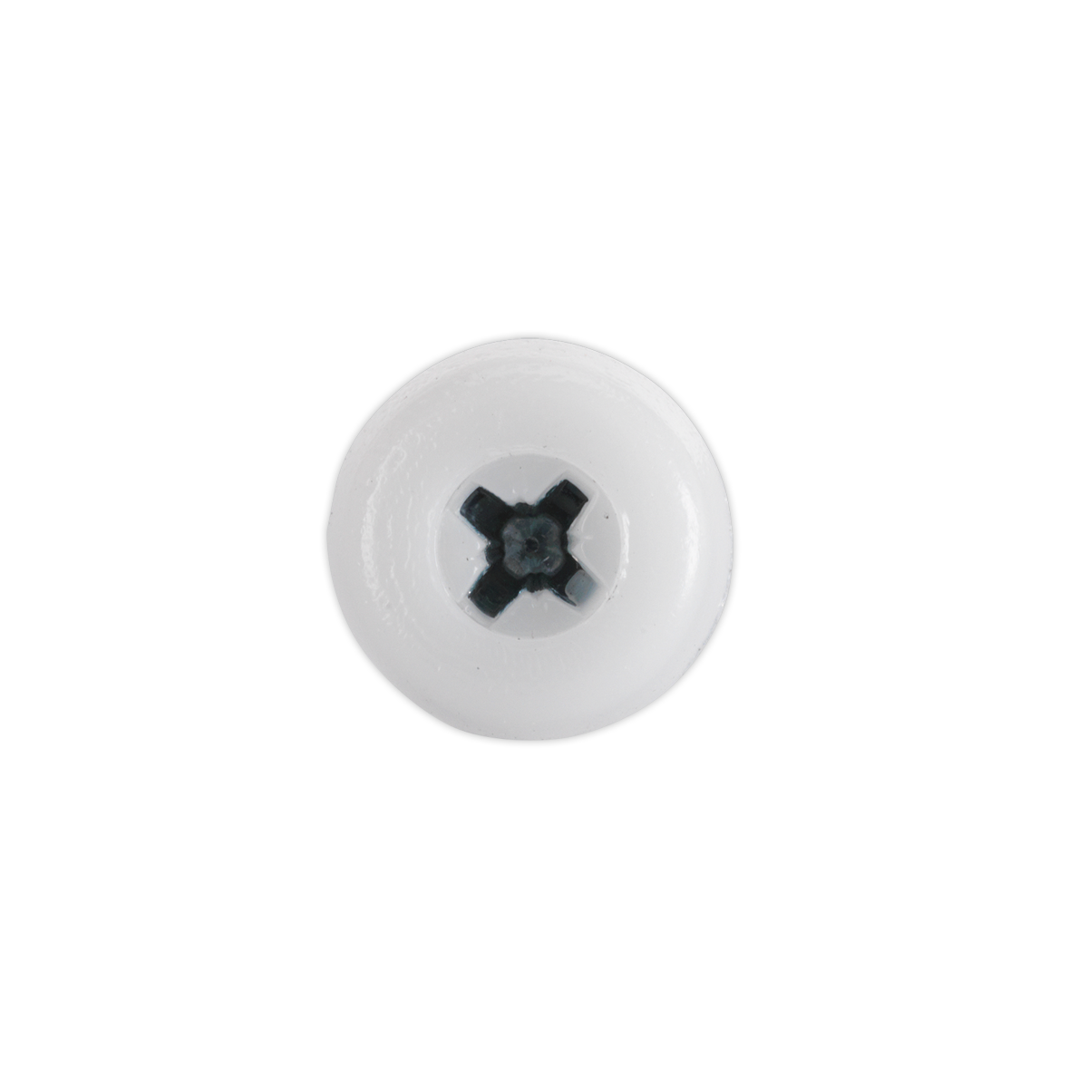 Numberplate Screw with Plastic Enclosed Head 4.8 x 18mm, White - Pack of 50 PTNP1