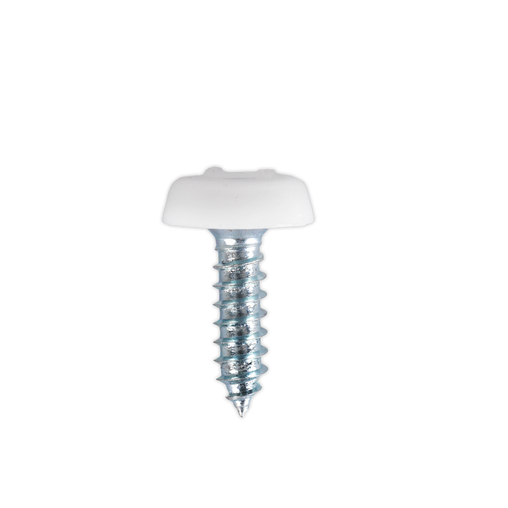 Numberplate Screw with Plastic Enclosed Head 4.8 x 18mm, White - Pack of 50 PTNP1