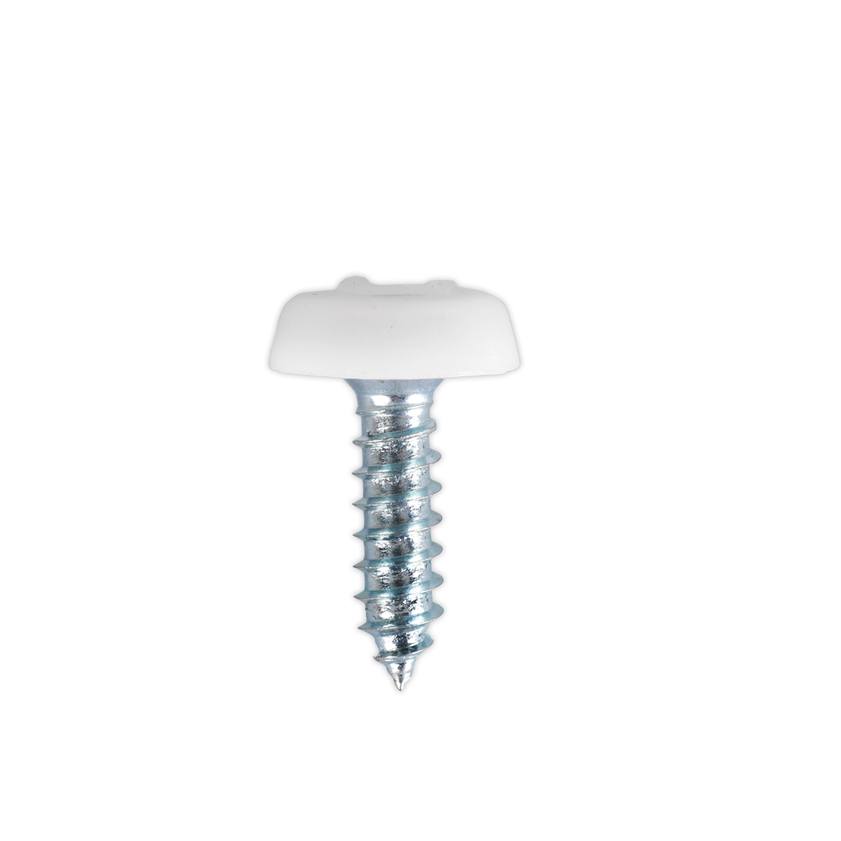 Numberplate Screw with Plastic Enclosed Head 4.8 x 18mm, White - Pack of 50 PTNP1