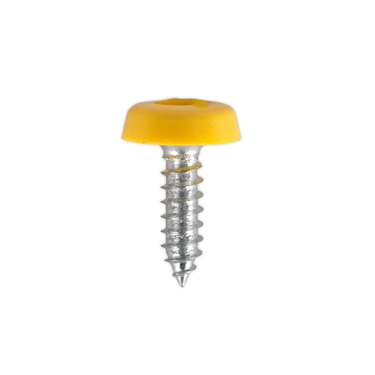 Numberplate Screw with Plastic Enclosed Head 4.8 x 18mm, Yellow - Pack of 50 PTNP2