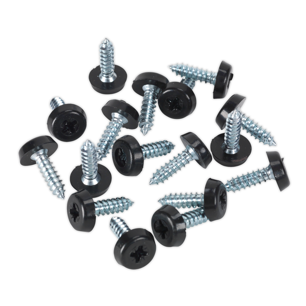 Numberplate Screw with Plastic Enclosed Head 4.8 x 18mm, Black - Pack of 50 PTNP3