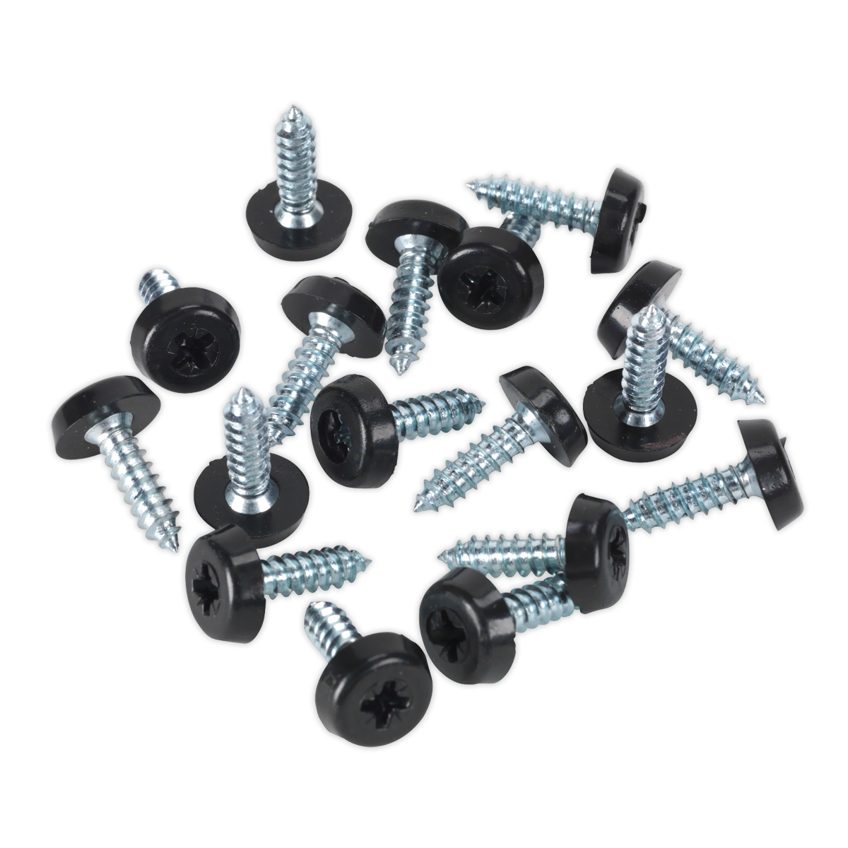 Clip Strip Deal - Mixed Numberplate Screws NPSSET