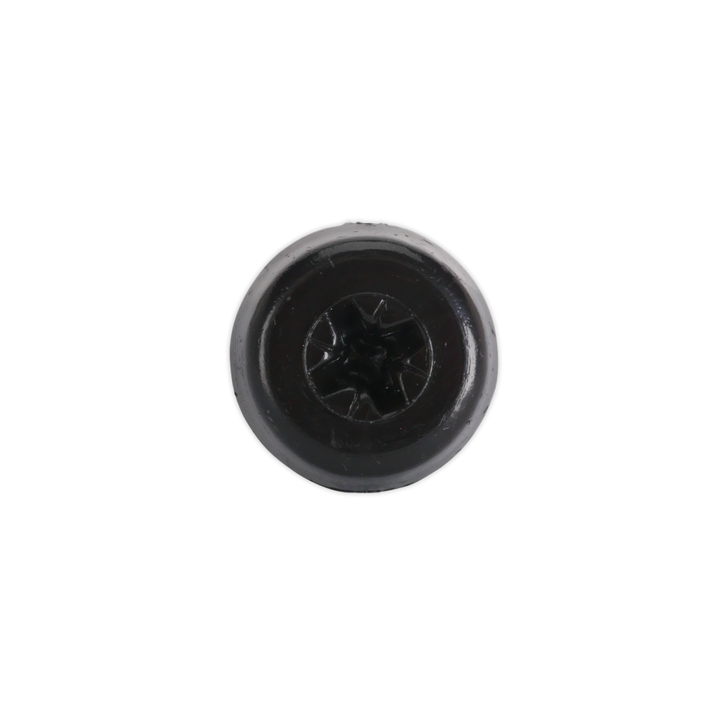 Numberplate Screw with Plastic Enclosed Head 4.8 x 18mm, Black - Pack of 50 PTNP3