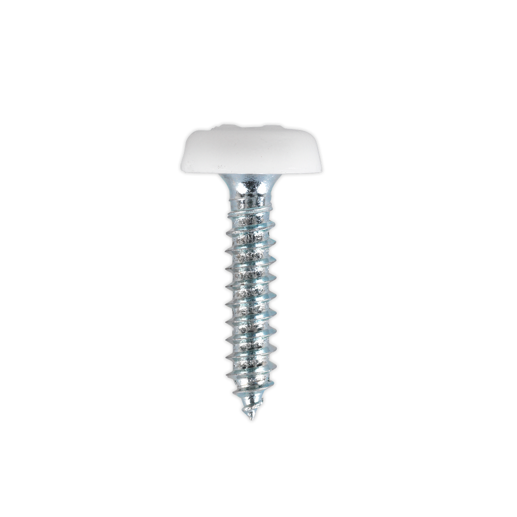 Numberplate Screw with Plastic Enclosed Head 4.8 x 24mm, White - Pack of 50 PTNP5