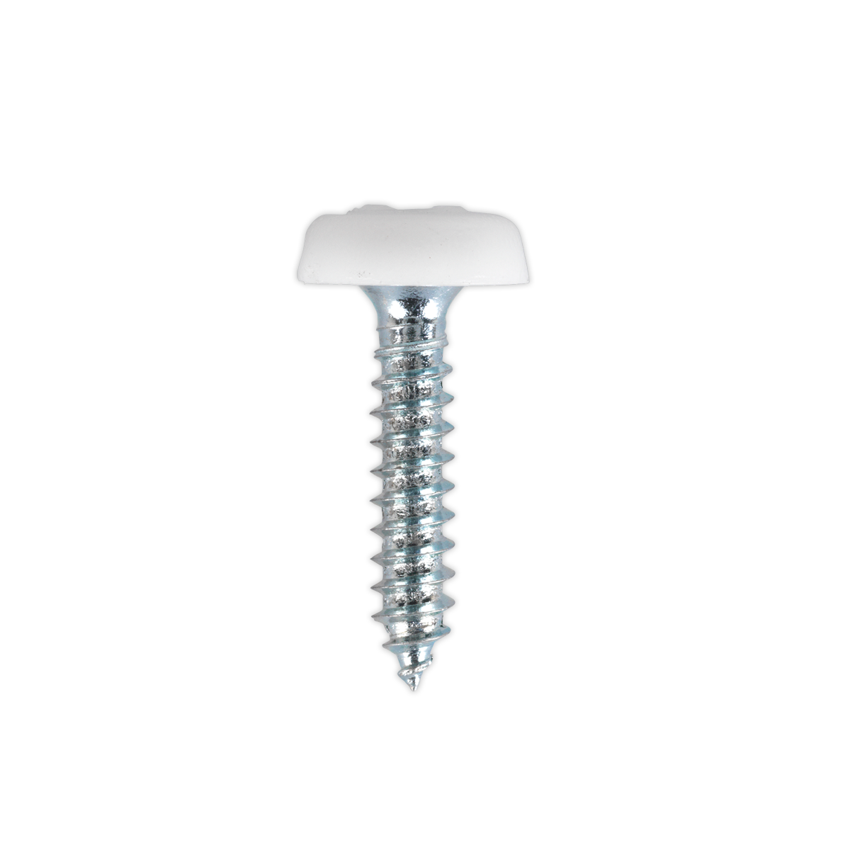 Numberplate Screw with Plastic Enclosed Head 4.8 x 24mm, White - Pack of 50 PTNP5