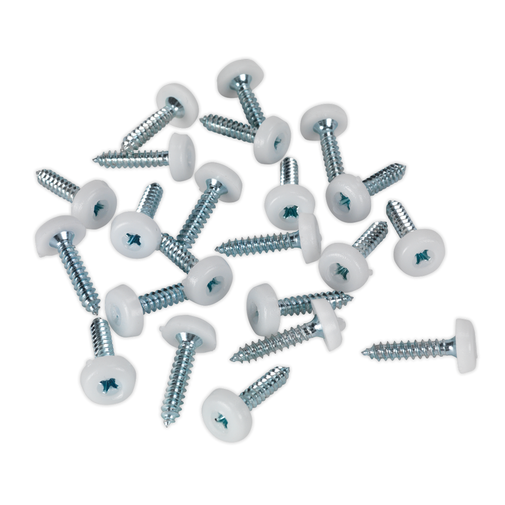 Numberplate Screw with Plastic Enclosed Head 4.8 x 24mm, White - Pack of 50 PTNP5