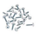 Numberplate Screw with Plastic Enclosed Head 4.8 x 24mm, White - Pack of 50 PTNP5
