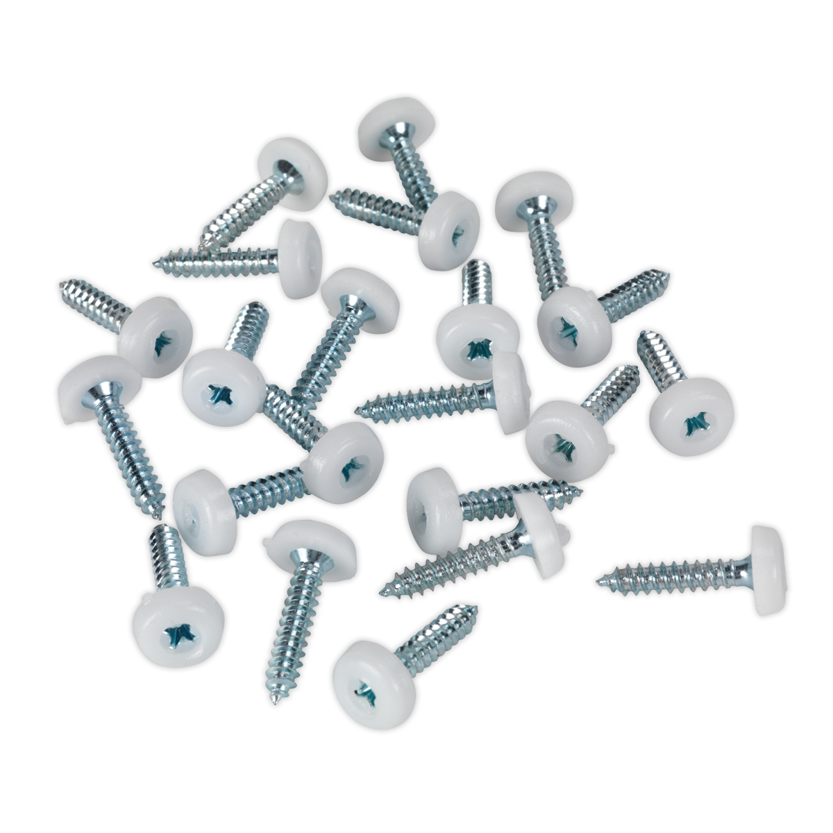 Numberplate Screw with Plastic Enclosed Head 4.8 x 24mm, White - Pack of 50 PTNP5