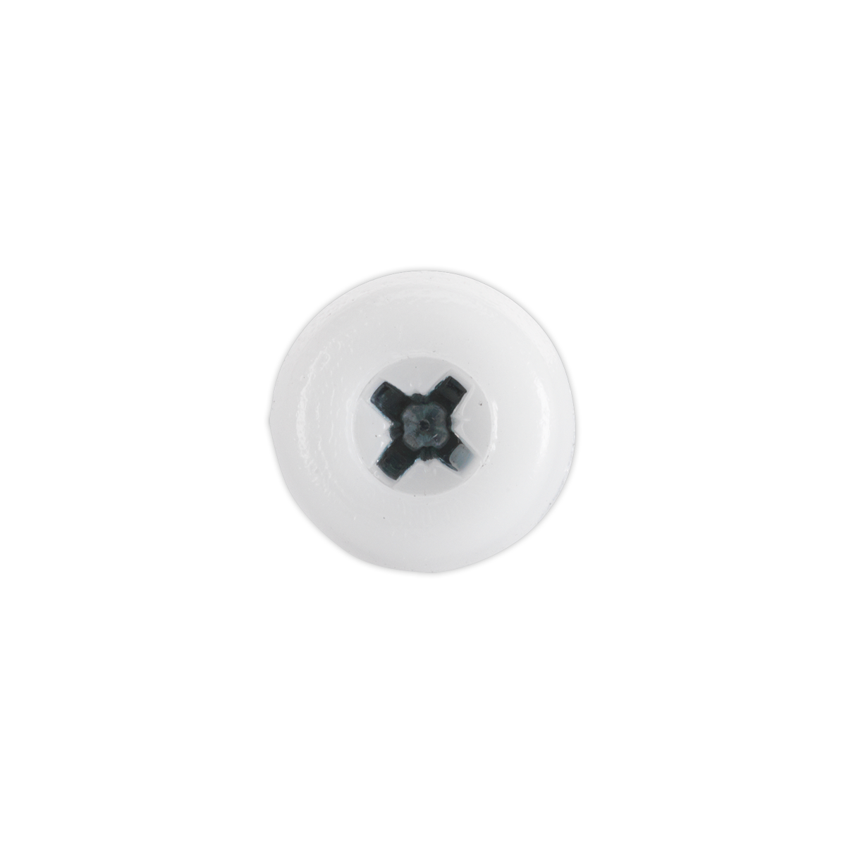 Numberplate Screw with Plastic Enclosed Head 4.8 x 24mm, White - Pack of 50 PTNP5