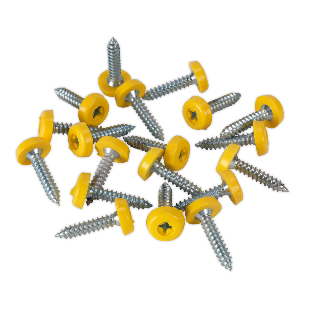 Numberplate Screw with Plastic Enclosed Head 4.8 x 24mm, Yellow - Pack of 50 PTNP6
