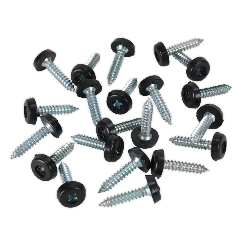 Numberplate Screw with Plastic Enclosed Head 4.8 x 24mm, Black - Pack of 50 PTNP7