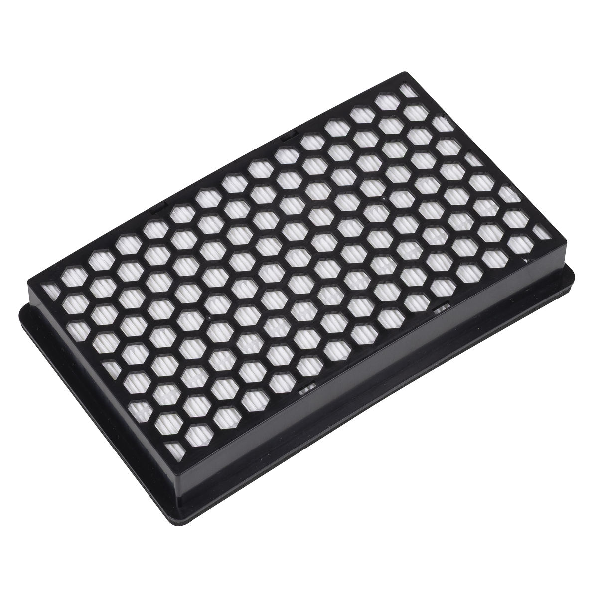 Particulate Filter PWH618-F04
