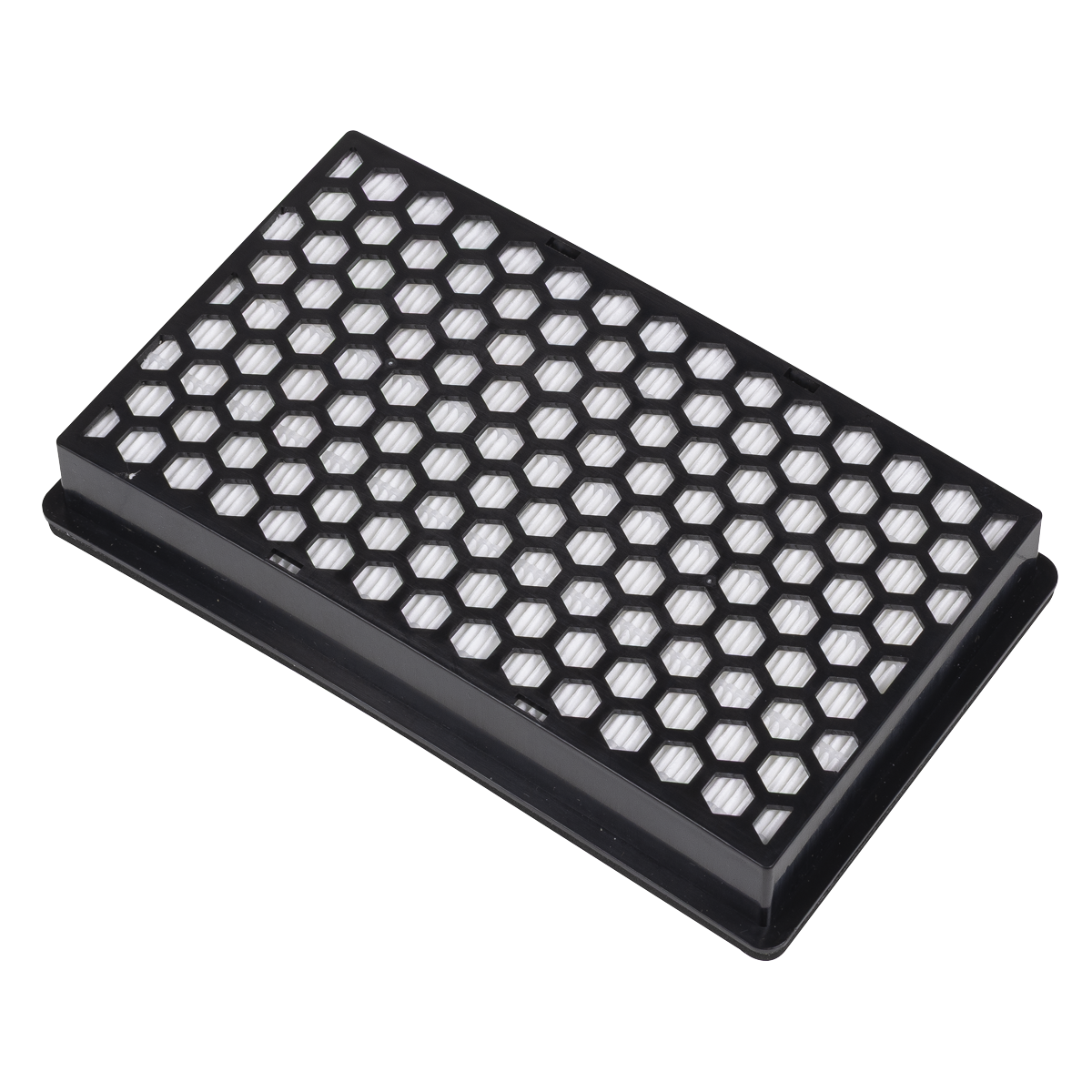 Particulate Filter PWH618-F04
