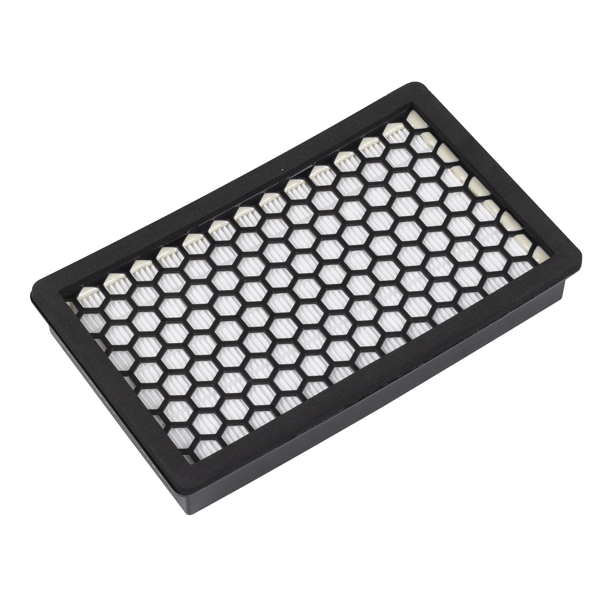 Particulate Filter PWH618-F04
