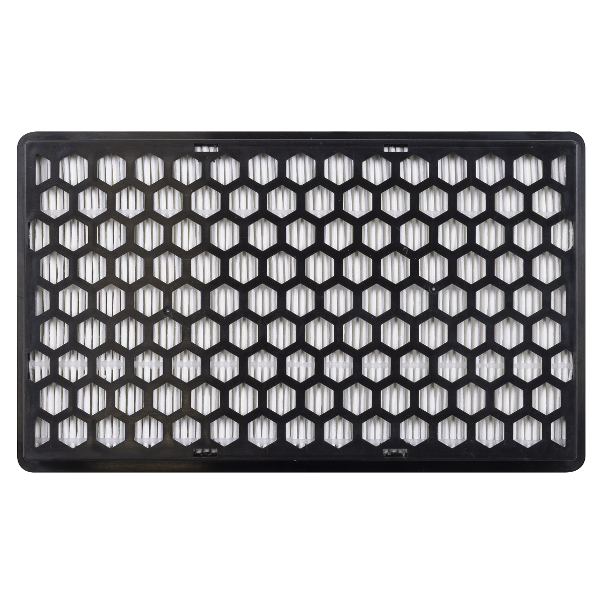 Particulate Filter PWH618-F04